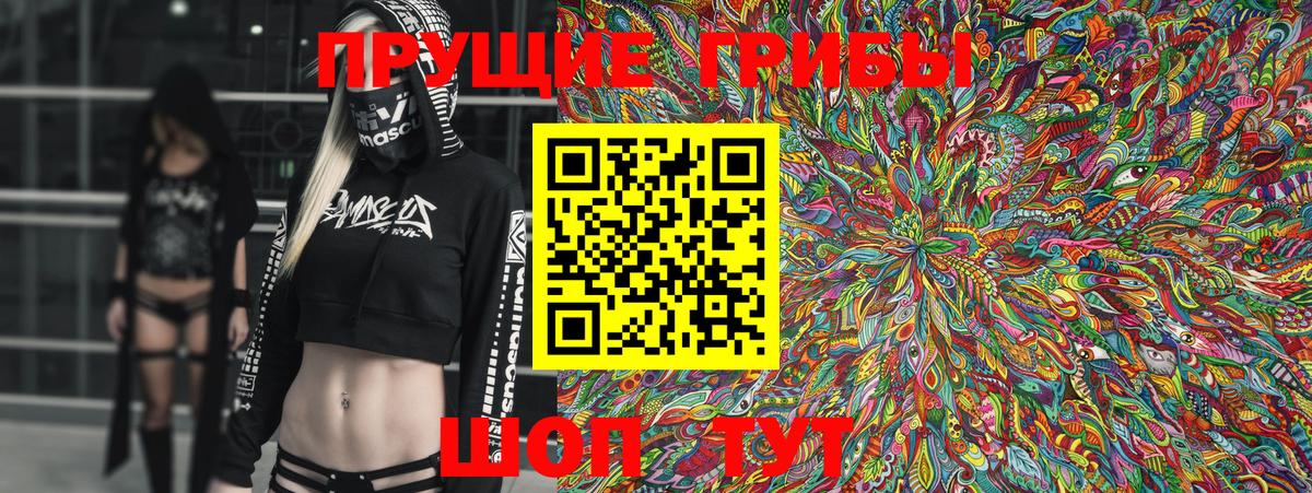 Мариинск  Галлюциногенные грибы Cubensis  Вход с VPN 