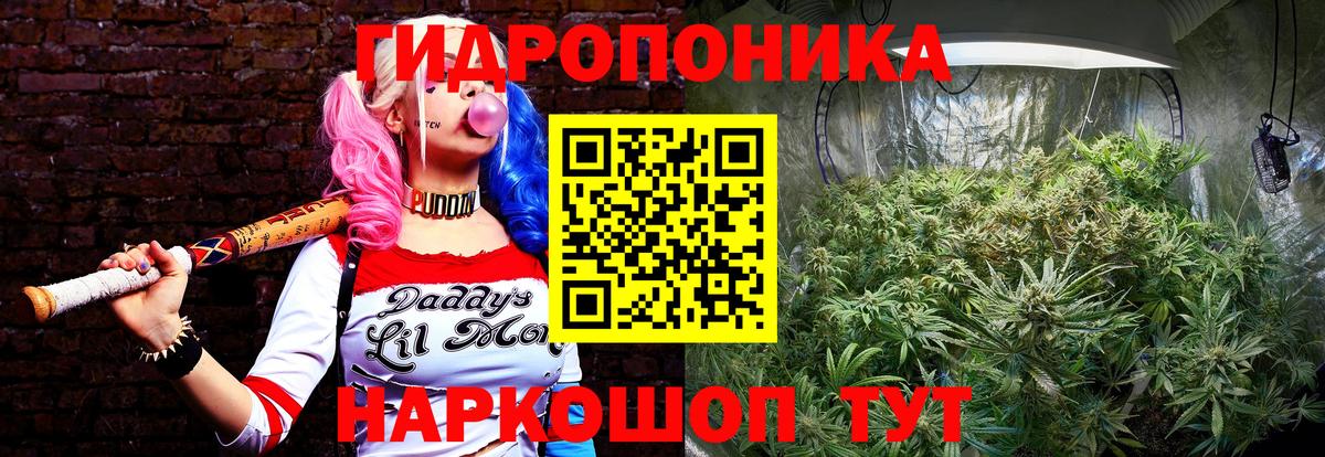 Марихуана индика  Вход с VPN  Мариинск  МАРИХУАНА OG Kush 